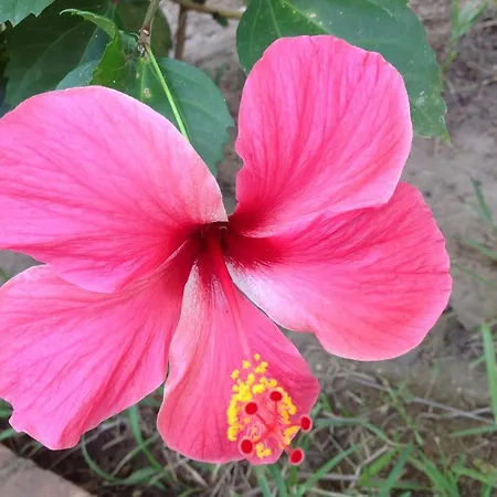 Casa Flor De Mar-3